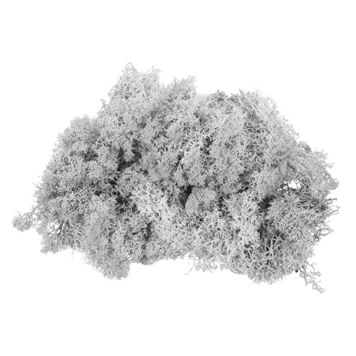 Mousse de renne préservée gris clair 320g pour plantes en pot