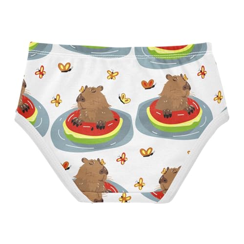 Wusikd Capybara Girls' Underwear Cotton Watermelon Butterfly Girls Briefs Soft Toddler Underwear 2T2