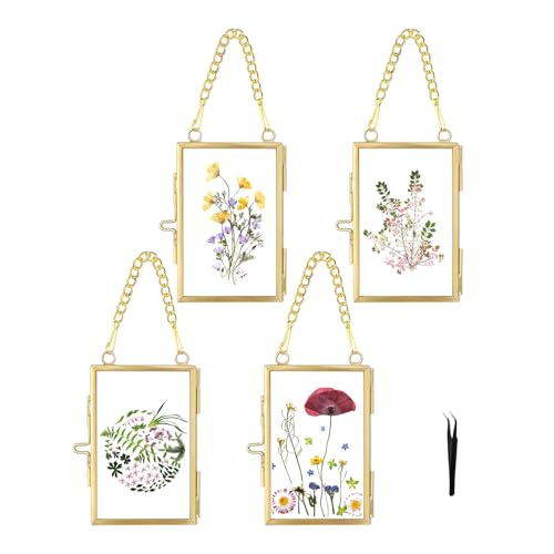 FOCHIER F 4 Pcs Pressed Flower Frame with Tweezers Wall Hanging Tabletop Display Double Glass Frames with Metal Chain for Pressed Dried Flowers Plants Horizontal and Vertical Picture Frame Gold FRAMES ONLY