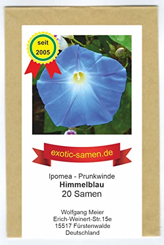 Prunkwinde „Himmelblaui“ – wuchsfreudige Kletterpflanze – tolle...