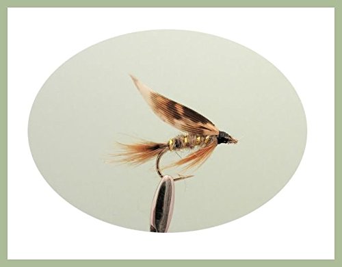 March Brown Wet Trout Flies, 12 Pack Mixed 10/12/14, For Fly Fishing