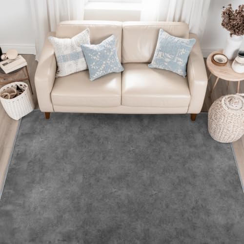 HiChiclife Tapis Salon Gris 120x160 cm, Tapis Moderne à Poils Courts, Lavable & Antidérapant, Tapis Doux pour Chambre, Couloir et Salon
