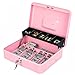 Kyodoled Large Locking Cash Box with Money Tray and Lock, Metal Money Box Safe, Cash Register,5 Compartments Cantilever Tray 4 Spring Loaded Clips for Bills,11.81Lx 9.45Wx 3.54H Inches,Pink X Large