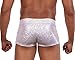 Revolver Fashion / Funstigators Festival Clothing: Men's Holographic Brief Booty Shorts With Front Pouch - Made in USA (M, White Disco)