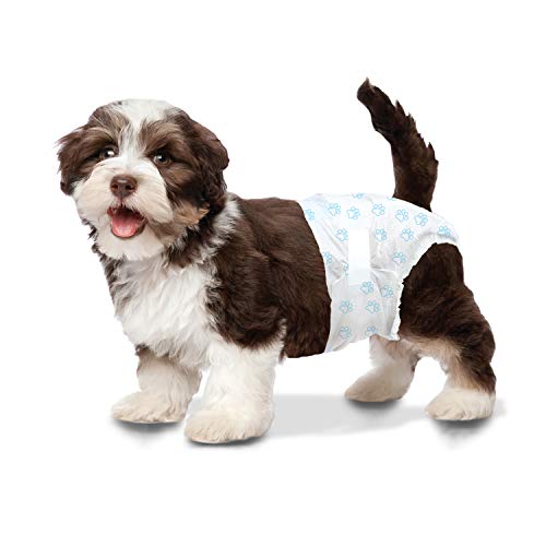 Image of Four Paws Wee-Wee Super Absorbent Disposable Adjustable Dog Potty Training Diapers, Leak-Proof Protection for Dogs, Size Extra Small, Up to 8 inch Waist, 36 Count