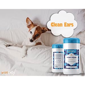 Wanpety pet wipes  dog wipes  wash wipes for dogs and cats  washing and grooming wipes for pets  eligible for all breeds  suitable for daily usage  alcohol and paraben free  70 pieces   cucciolini doodles