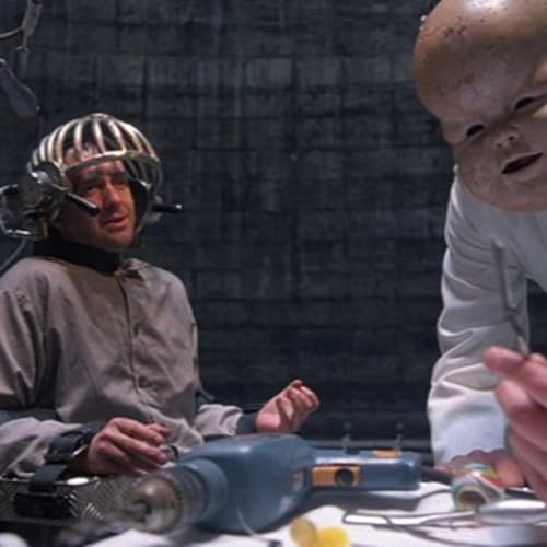 MAMFAW Holiday '23: Brazil/Eyes Wide Shut