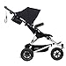 Mountain Buggy Duet V3 Buggy, Black