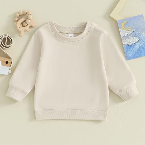 Toddler Baby Boys Sweatshirts Long Sleeve Crewneck Solid Color Pullover Fall Tops2
