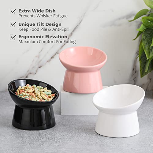 Raised Ceramic Cat Food Bowls – Tilted Elevated Anti-Vomit Cat Bowl – Whisker-Friendly Wide Shallow Feeding Dish – for Dry & Wet Food – Microwave & Dishwasher Safe by LIONWEI LIONWELI - Image 6