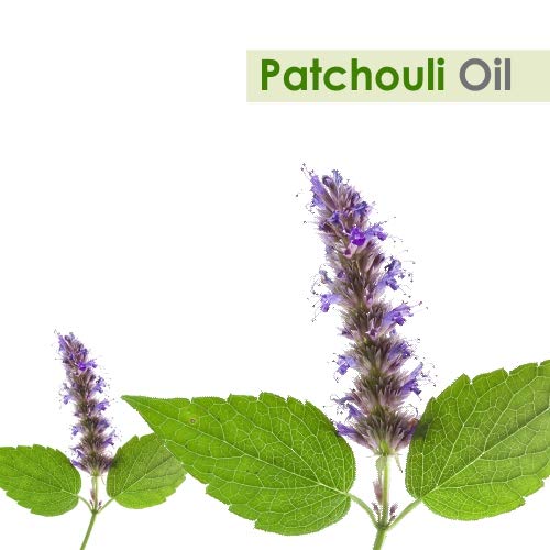 Image of Crysalis Patchouli (Pogostemon Cablin) Oil |100% Pure & Natural Undiluted Essential Oil Organic Standard| Helps In Care Of Skin, Hair |Aromatherapy Oil| 15ml With Dropper