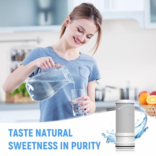 Image of Supvox Activated Carbon Water Filter Cartridge, 1.6 inchx3.7 inch, 1 Micron Filtration, Upgrade, 1 Count