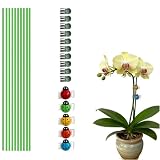 Bendable Metal Stakes with Ladybug Clips