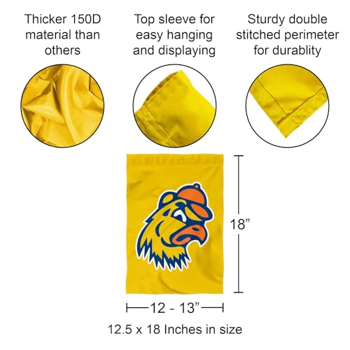 Amazon.com: College Flags and Banners Company: Trinity College