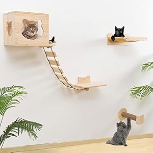 Cat Shelves and Perches Wall Mounted Indoor Cats Furniture Solid Wood Cat Wall House Set for Activity Climbers