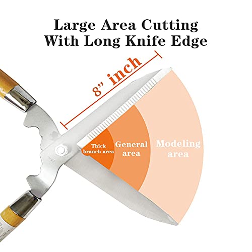 Image of JD FRESH Plant Cutter for Garden Hedge Pruning Shears /8 Inch Premium Carbon Steel Gardening Scissors /Anti Rust /160 Angled Blade /Wooden Handle /for Hedge Cutting /Bush & Shrub Branch Trimming /Shaping