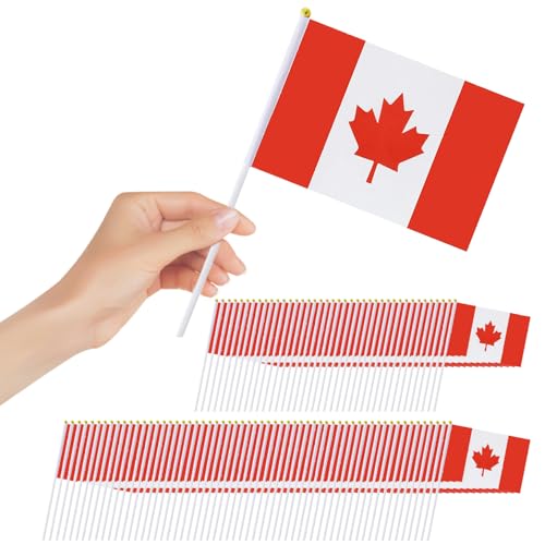 Petits drapeaux du Canada à main pour célébrer la fête nationale - 4