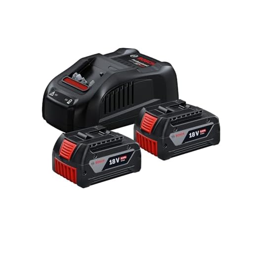 Bosch Professional 18V System Akku Starter Set (2x5.0Ah Akku, Schnellladegerät, im Karton)