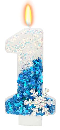 Winter Onederland 1st Birthday Boy Decorations