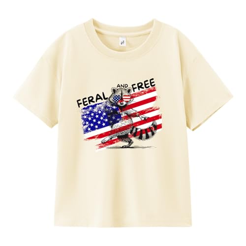 Image of Boys Constitution Day 250 Anniversary USA Shirt Independence Shirt 3-8T | for Kids Boys Girls Toddlers 3T-8T, 4th of July Dinos Flag Patriotic Tee, Independence Day