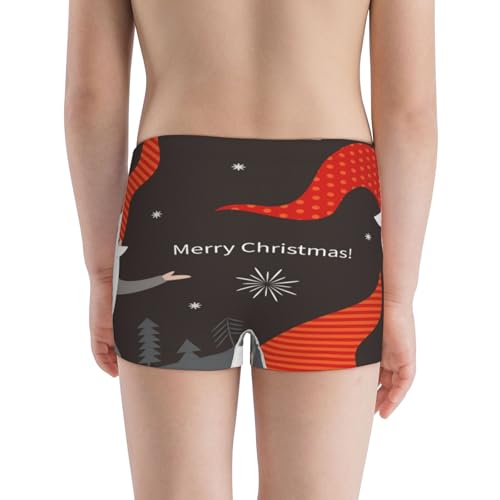 Boys' Cotton Boxer Brief Soft Underwear-Christmas Gnomes In Red Hats3