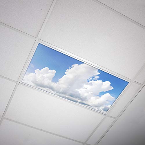 Fluorescent light cover 2x4 backlit film insert