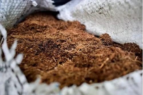 Kokostec Favorita Substrato Pó de Coco | 50 Litros