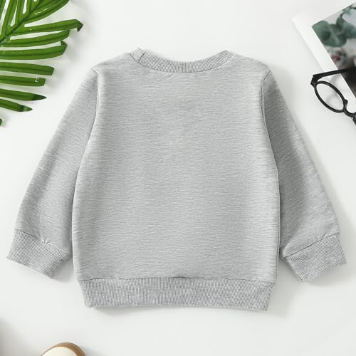 Boy's Fleece Sweatshirts Toddler Boys Girls Long Sleeve St.Patric.k's Day T Shirt Pullover with Lightweight4