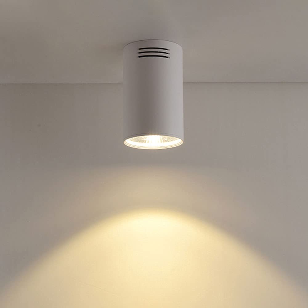 BHGFYXBS M Ceiling Spotlight Accent Lamp,10W Led Ceiling Light Fixture, Aluminum Indoor Directional Spotlight, Cylindl Ceiling Spotlights For Commercial, Household,White4000k
