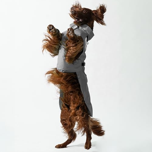 DOGOPAL Regenmantel Hund wasserdicht für kleine & große Hunde - Hunderegenmantel mit Reflektorstreifen - Wasserdichter Hundemantel, Regenschutz & Regenjacke (Grau, 2XL)