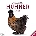 Verr&uuml;ckte H&uuml;hner Brosch&uuml;renkalender 2026 - 30x30 - Art12 | Au&szlig;ergew&ouml;hnlicher Tier-Kalender im schlanken Hochformat (aufgeklappt 30x60 cm) | Notizen