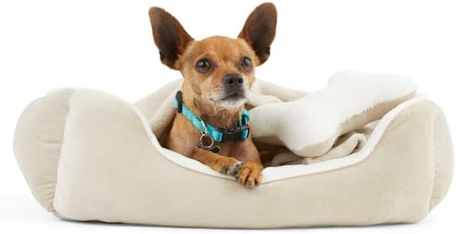 EveryYay Essentials Dog Bed Bundle, 22" L X 18" W, Khaki