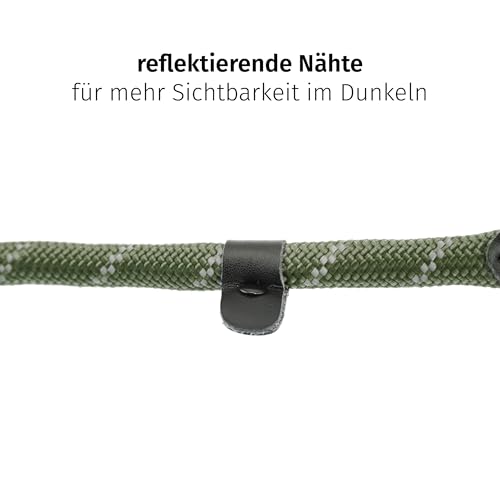 Floxik Retrieverhalsband grün | Robustes Dressurhalsband mit Zugstopp für mittelgroße und große Hunde, Halsumfang 30-60 cm, Ø 1,2 cm