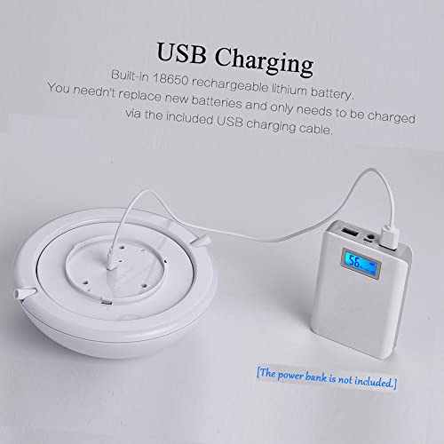 Giochi interattivi,Giocattolo per Gatti