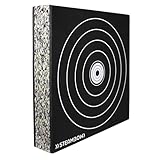 Steambow Arrow Target