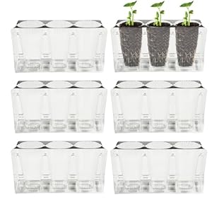 Generisch Anzuchttöpfe Set OMQF408Z8IVG6PFU6F