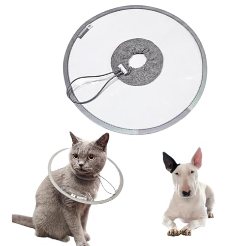 Lifetips~j`AueA ~juLp GUxXJ[ h \tg y pPA ی Ȃߖh~ p EȒP 􂦂 PAJ[(NAj(Lj