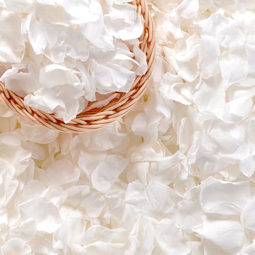 Eslibin Lot de 500 pétales de rose blancs véritables de 130 g, pétales de fleurs blanches préservées pour mariage, demoiselle d'honneur, fête prénatale,...