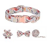 Accesorios resistentes y duraderos: la hebilla del collar para perros y el anillo en D están hechos de materiales de hardware de alta calidad, que son fuertes y fáciles de poner y quitar. Con el collar de alta calidad con correa del mismo color, puedes usarlo con tranquilidad.