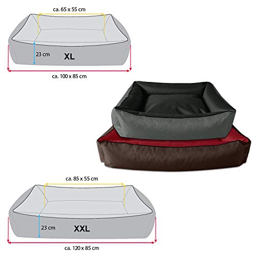 BedDog® 2in1 Max Duo Marrone/Nero XL, 100x85 cm