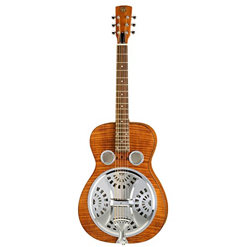 Epiphone アコースティックギター ブラウン ※最終価格です。 Epiphone （エピフォン） おすすめアコギ 【2023最新