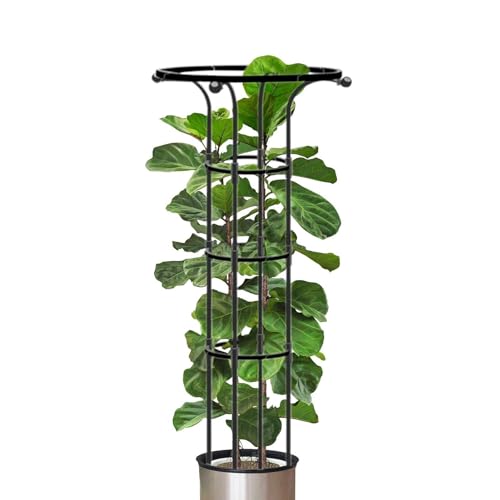 Obelisk Garten hoch für Pflanzen, Klettergerüst, Obelisk, Turm, Garten, Kletterständer, Topf, Beschichtung aus Kunststoff & Metall, rostfrei, für Blumen, Gemüse, , Weinreben, 125 cm Obelisk Garten hoch für Pflanzen, Klettergerüst, Obelisk, Turm, Garten, Kletterständer, Topf, Beschichtung aus Kunststoff & Metall, rostfrei, für Blumen, Gemüse, , Weinreben, 125 cm