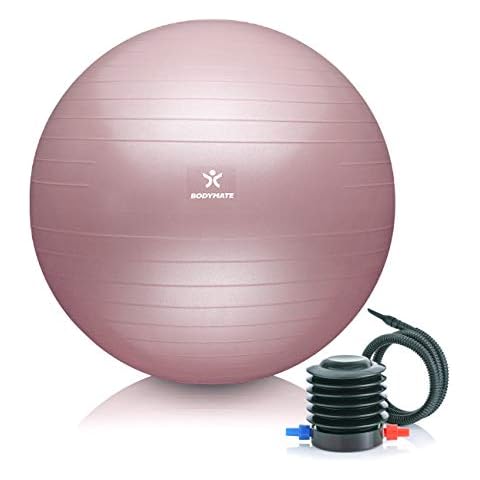 Ballon Fitness BODYMATE 65cm Cover