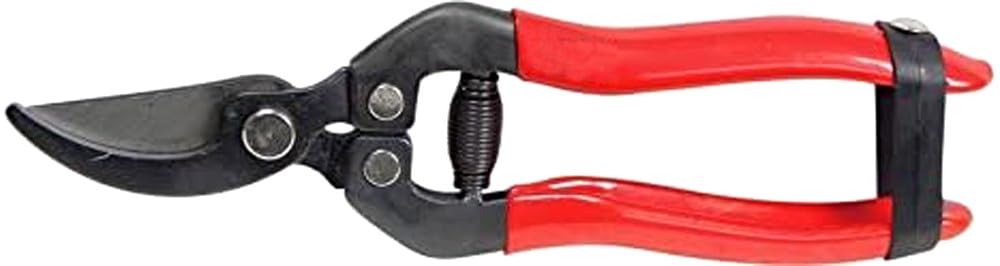 FORBICE PER FIORI LAME CURVE 1486267 Valex