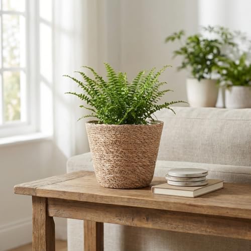 Deconox İçi Poşetli El Yapımı 15 x 14 cm Yuvarlak Saksı
