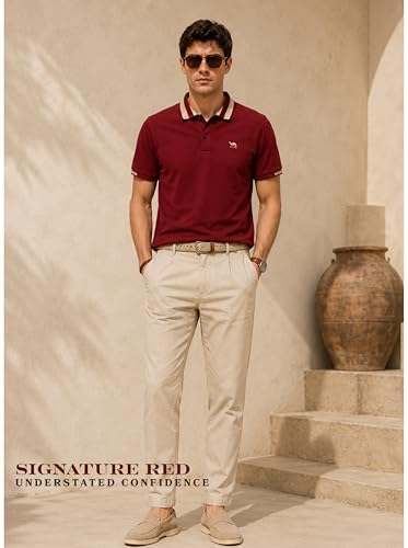 Image of Men's Polo - FYLTR Men's Regular Fit Polo T-Shirt with Contrast Tipping Collar - 100% Cotton | Soft Handfeel | Casual T-Shirts for Men