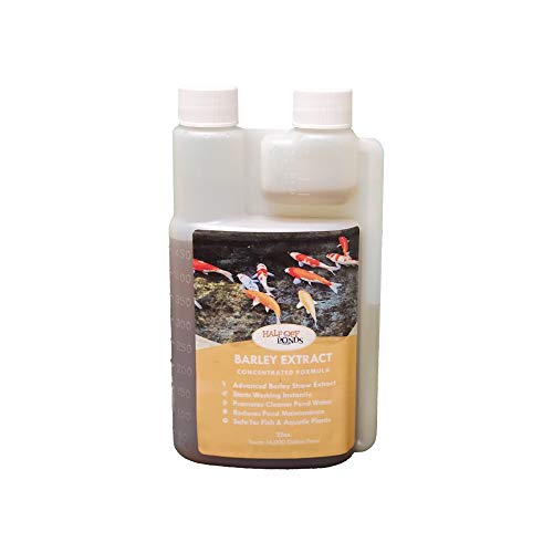 HALF OFF PONDS Water Treatments Barley Extract - Concentrated Formula 16 oz. Bottle - H2OP-BE016OZ