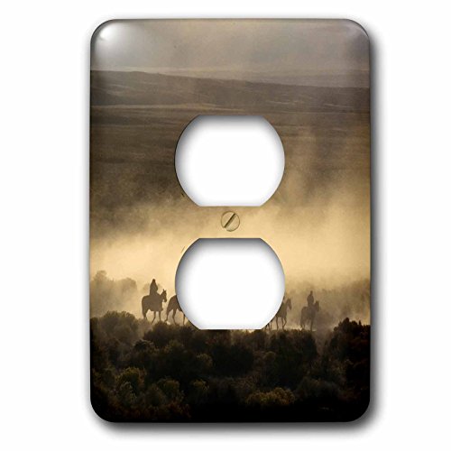 2 prises de courant pour cacher les plaques blanches tristes
