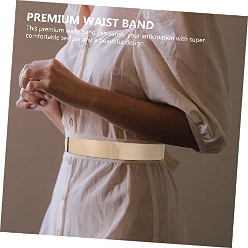 2Pcs Metal Waist Chain for Women Versatile Gold Dress Belt Adjustable Waistband Accessories for Party Dresses and Casual Outfits4