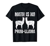 Mathematiklehrer Mathe Lama Geschenkidee